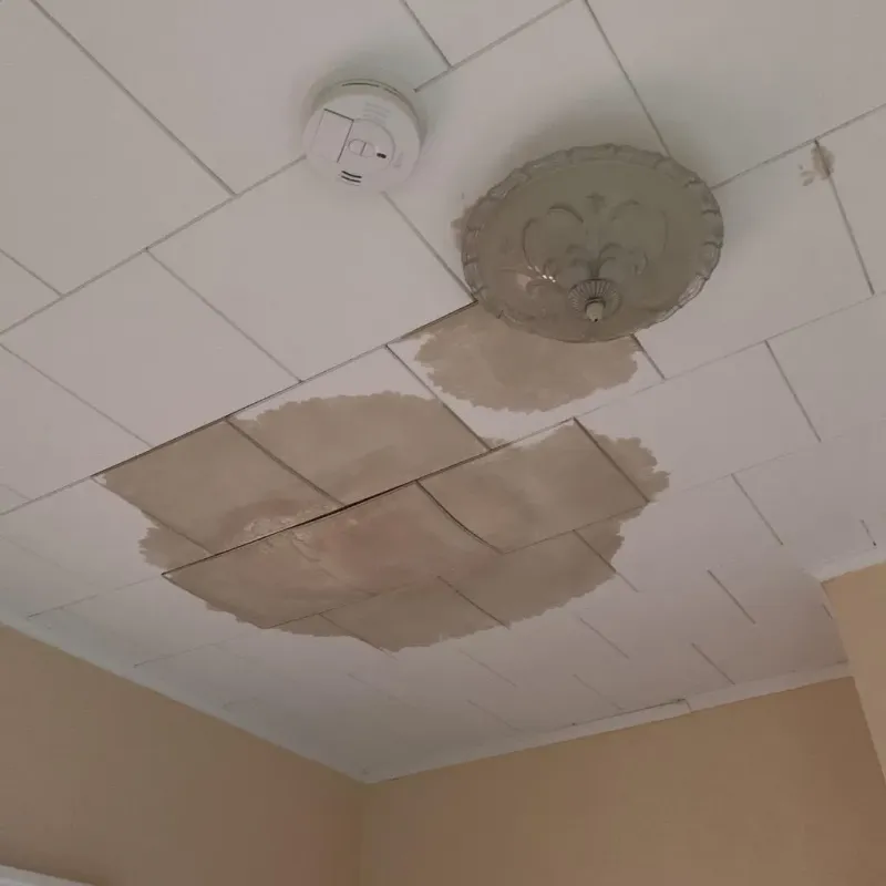 Ceiling Water Damage Repair in Franklin Park, NJ