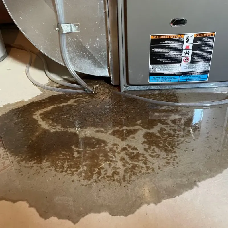Pipe Burst and Leak Restoration in Franklin Park, NJ